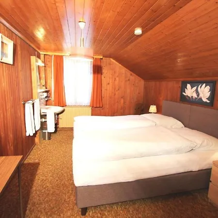 Hotel-restaurant Alpina 2*