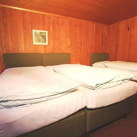 Inn Hotel-restaurant Alpina