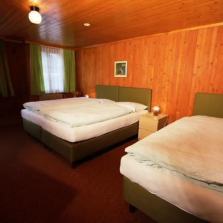 Hotel-restaurant Alpina Gasthof