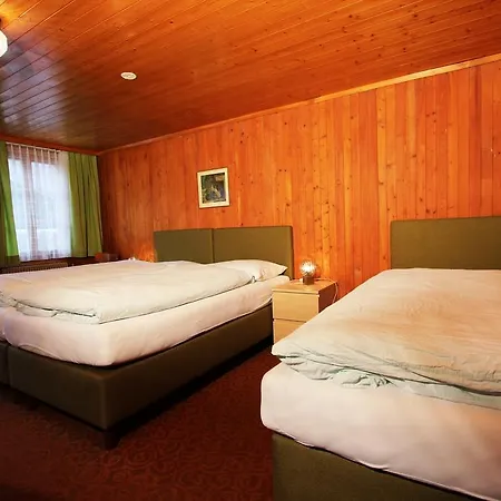 Gasthof Hotel-restaurant Alpina 3*