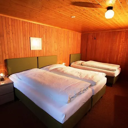 阿尔宾娜餐厅酒店 3*