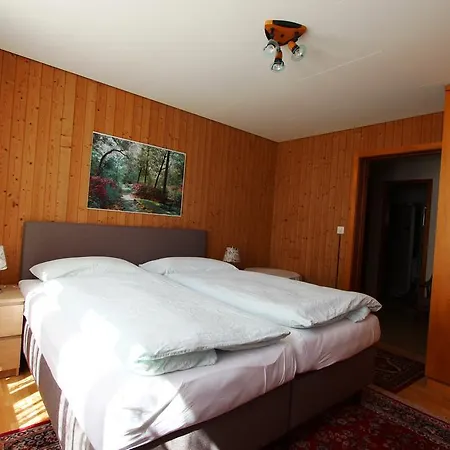 Hotel-restaurant Alpina Värdshus Innertkirchen