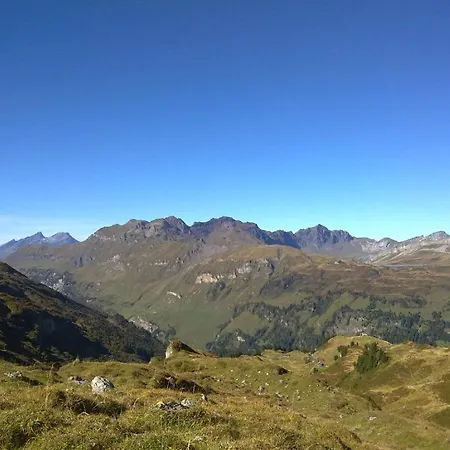 Värdshus Hotel-restaurant Alpina Innertkirchen