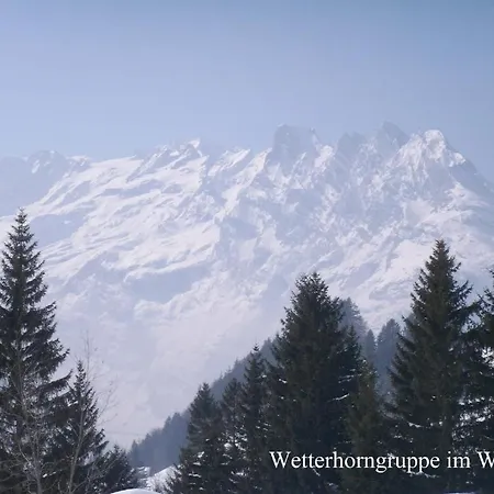 阿尔宾娜餐厅酒店 茵诺科琴