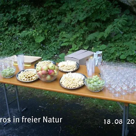 Hotel-restaurant Alpina 3* Innertkirchen