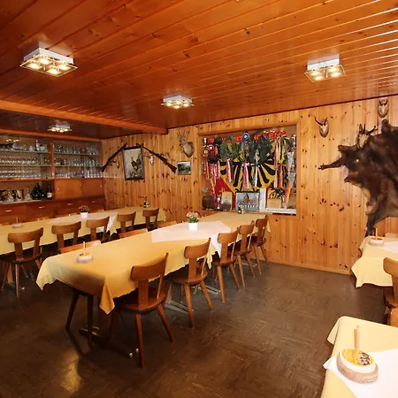 Värdshus Hotel-restaurant Alpina Innertkirchen