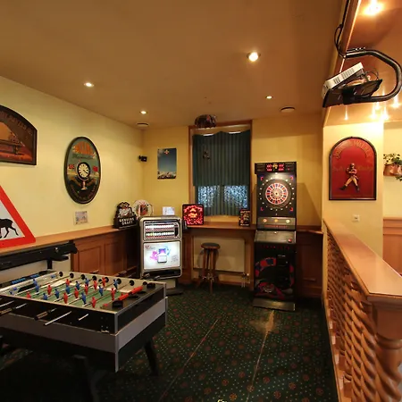 Hotel-restaurant Alpina 3*