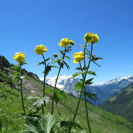 Hotel-restaurant Alpina