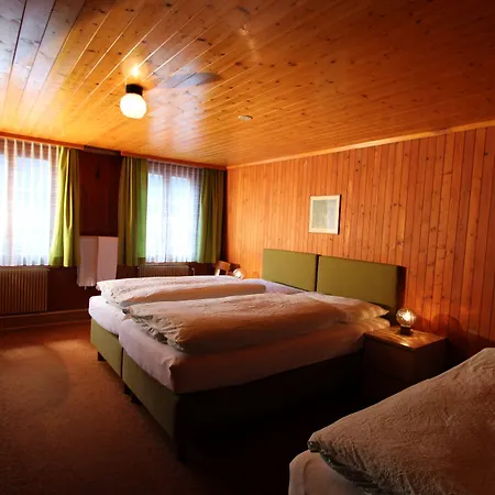 Hotel-restaurant Alpina Gasthof 3*