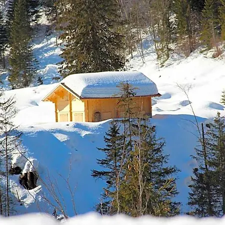 Hotel-restaurant Alpina 3*
