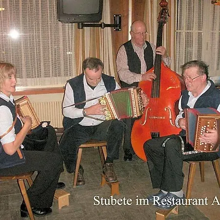 Hotel-restaurant Alpina Gasthof 3*
