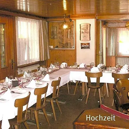 Hotel-restaurant Alpina 3*