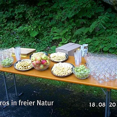 Hotel-restaurant Alpina Gasthof Innertkirchen
