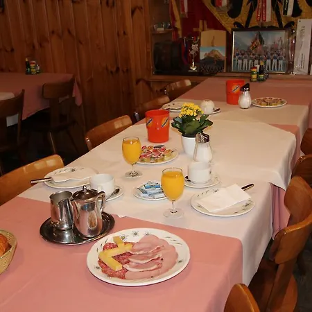 Hotel-restaurant Alpina 3* Innertkirchen