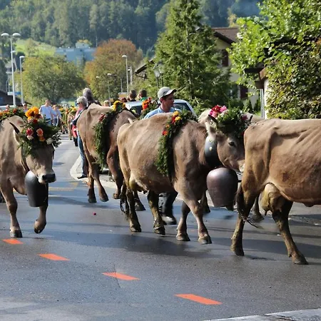 Hotel-restaurant Alpina