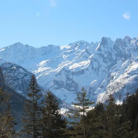 Värdshus Hotel-restaurant Alpina Innertkirchen