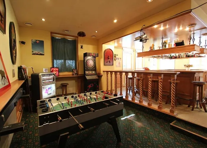 Hotel-restaurant Alpina Inn 3*