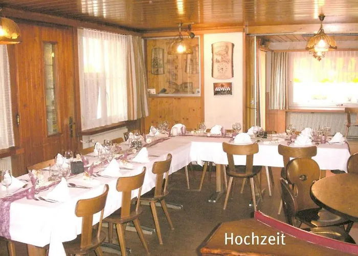 Hotel-restaurant Alpina 3* Innertkirchen