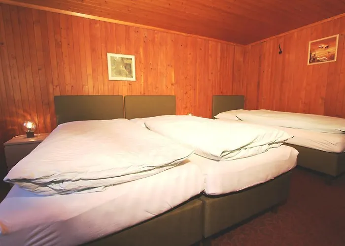 Inn Hotel-restaurant Alpina