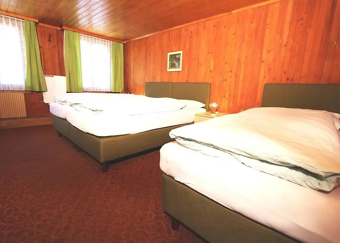 Hotel-restaurant Alpina Inn Innertkirchen