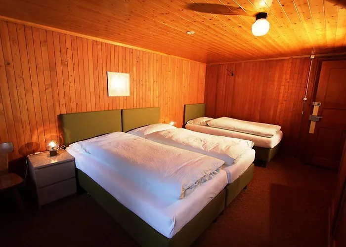 Hotel-restaurant Alpina 3*