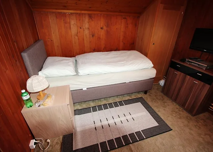 Hotel-restaurant Alpina 3*