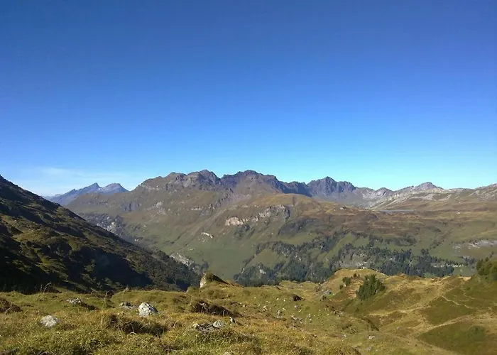 Inn Hotel-restaurant Alpina Innertkirchen