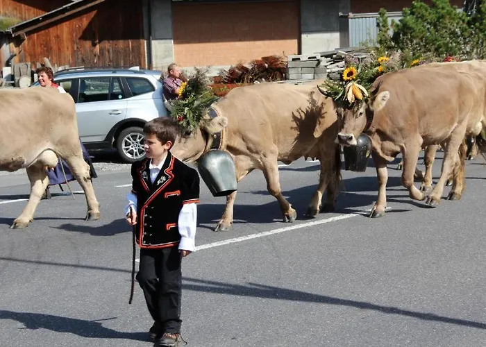 Hotel-restaurant Alpina Inn