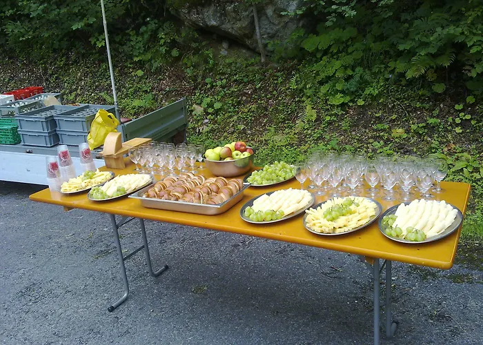 Hotel-restaurant Alpina 3* Innertkirchen