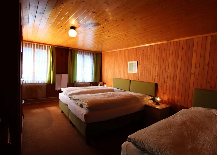 Hotel-restaurant Alpina Inn 3*