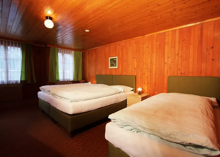 Hotel-restaurant Alpina Inn