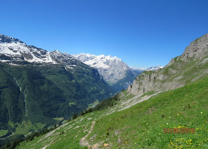 Hotel-restaurant Alpina 3* Innertkirchen