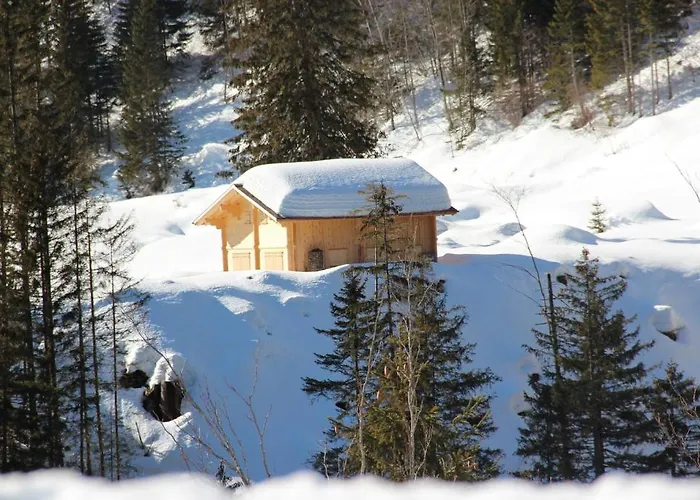 Hotel-restaurant Alpina Locanda 3*