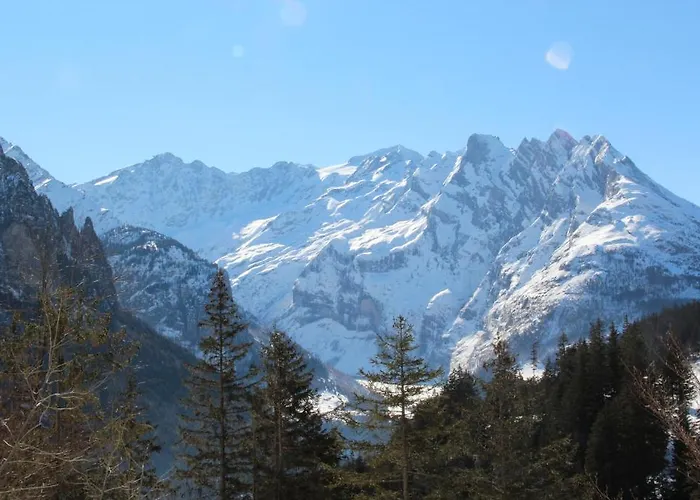 Inn Hotel-restaurant Alpina Innertkirchen