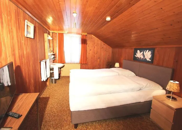 Hotel-restaurant Alpina 3*