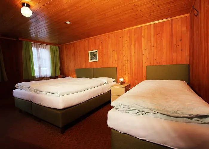 אורחן Hotel-restaurant Alpina 3*