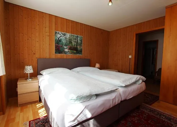 Hotel-restaurant Alpina אורחן 3*