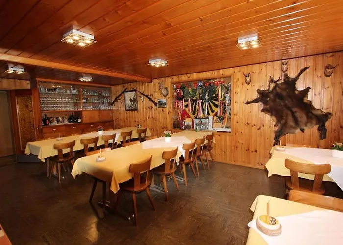 Hotel-restaurant Alpina 3*