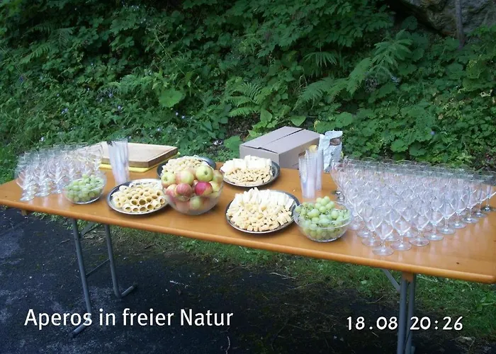 Hotel-restaurant Alpina 3* Innertkirchen