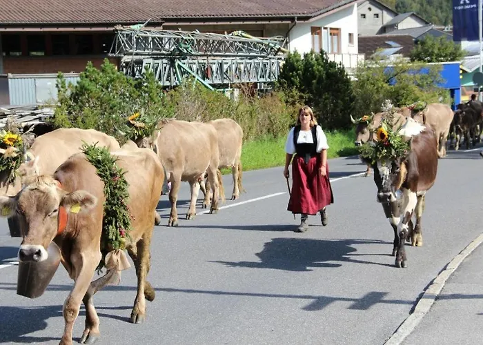 Fogadó Hotel-restaurant Alpina