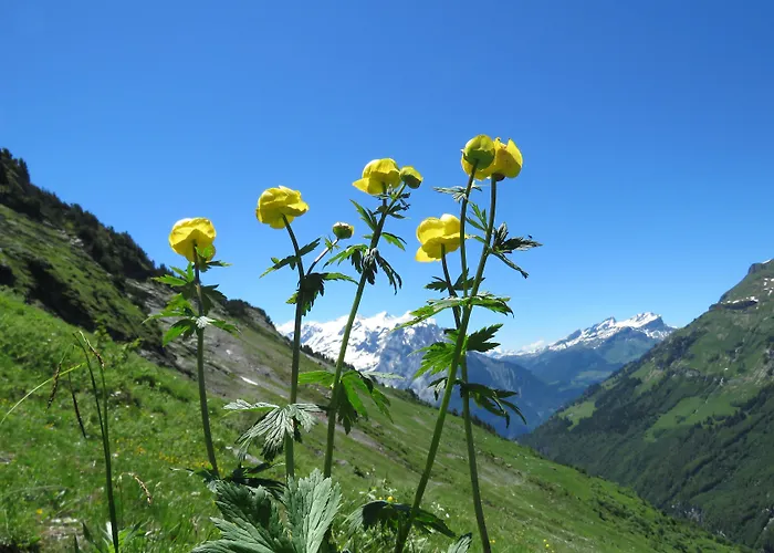 Hotel-restaurant Alpina