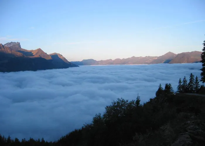 Hotel-restaurant Alpina 3*