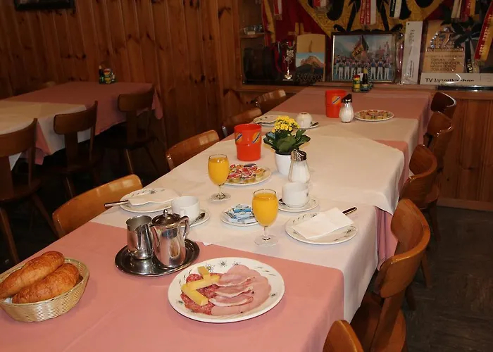 Hotel-restaurant Alpina 3* Innertkirchen