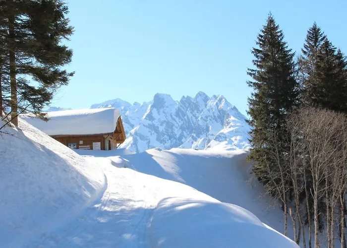 Hotel-restaurant Alpina אינרטקירכן