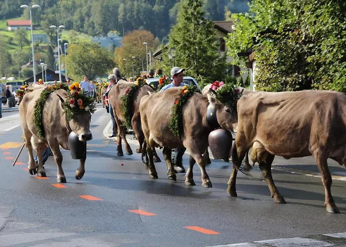 Hotel-restaurant Alpina