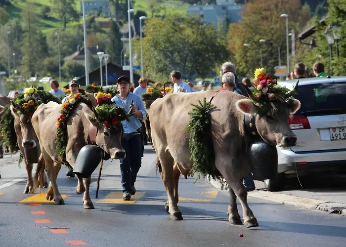 Fogadó Hotel-restaurant Alpina Innertkirchen