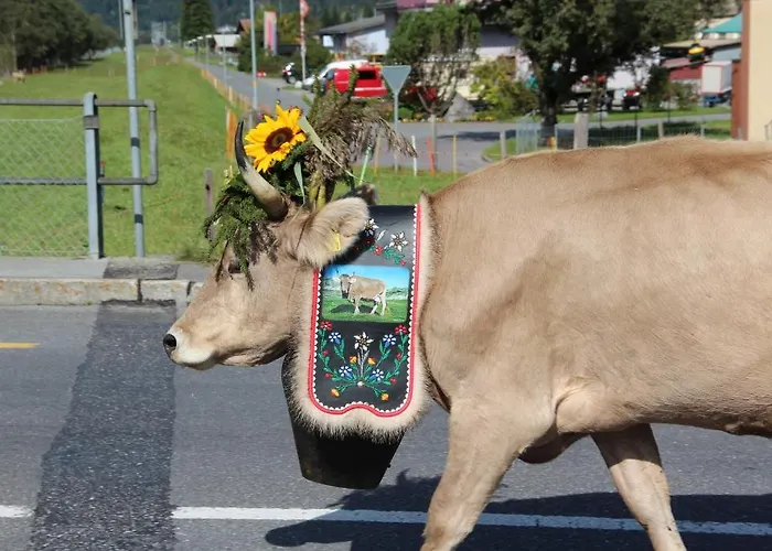 Hotel-restaurant Alpina 3* Innertkirchen