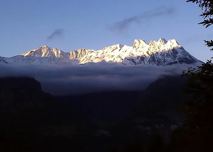 Hotel-restaurant Alpina 3*