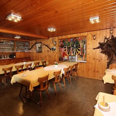 Hotel-restaurant Alpina 3*