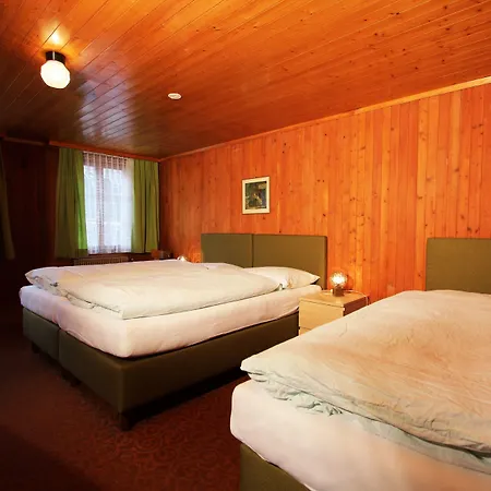 Hotel-restaurant Alpina Мини-отель